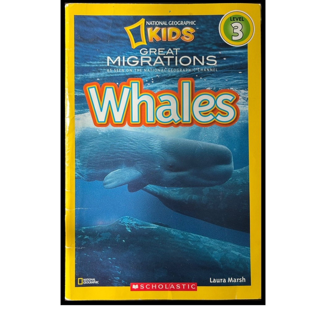 BUNDLE & SAVE 🐳 National Geographic Kids Whales Book